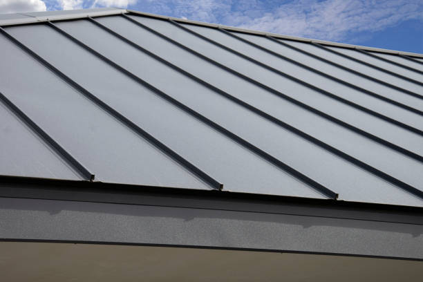 Best Steel Roofing  in White Knoll, SC