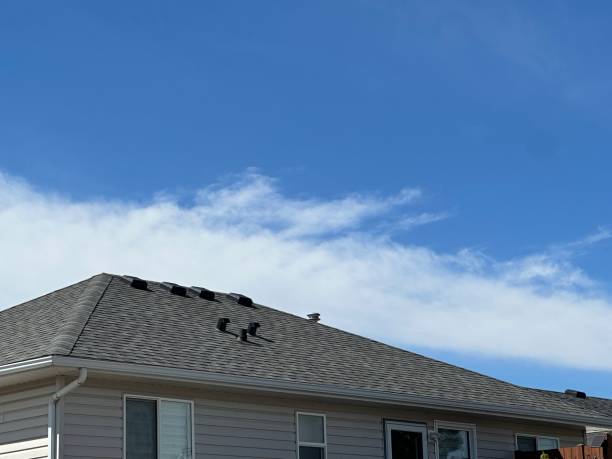 Best Roof Maintenance and Cleaning  in White Knoll, SC