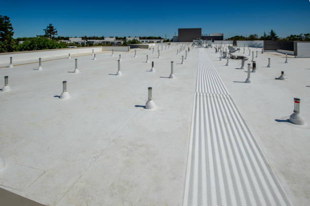 Best Sheet Metal Roofing  in White Knoll, SC